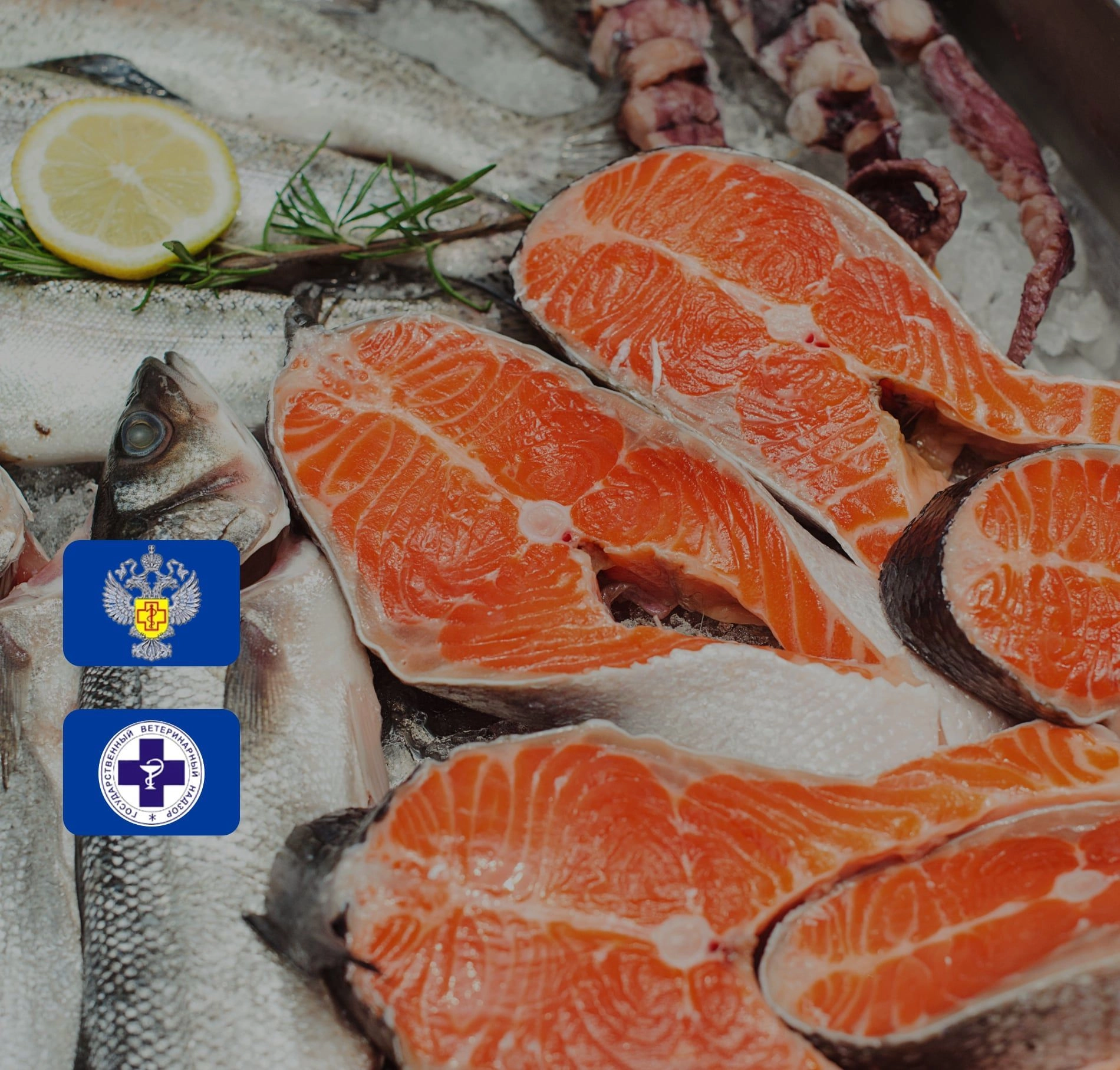Рыба и морепродукты