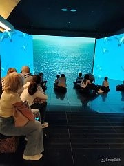 Экскурсия в музей «Вселенная воды»
