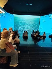 Экскурсия в музей «Вселенная воды»